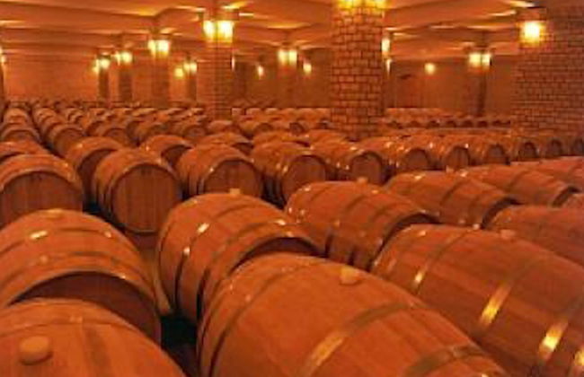 Day Trip to Vale do Rio das Antas & Serra Gaúcha Wineries - Photo 4