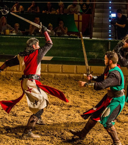 Foto de Cena con espectáculo en Magic Robin Hood