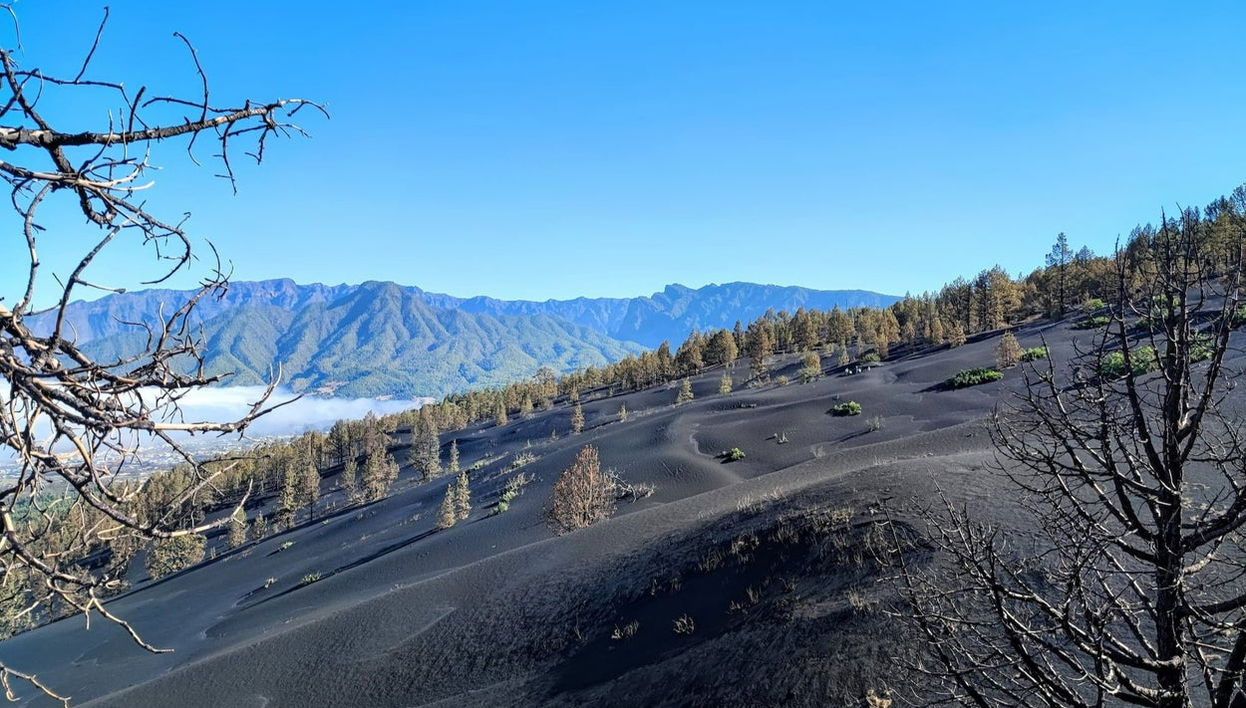 Trekking sul vulcano di Cumbre Vieja - Foto 1