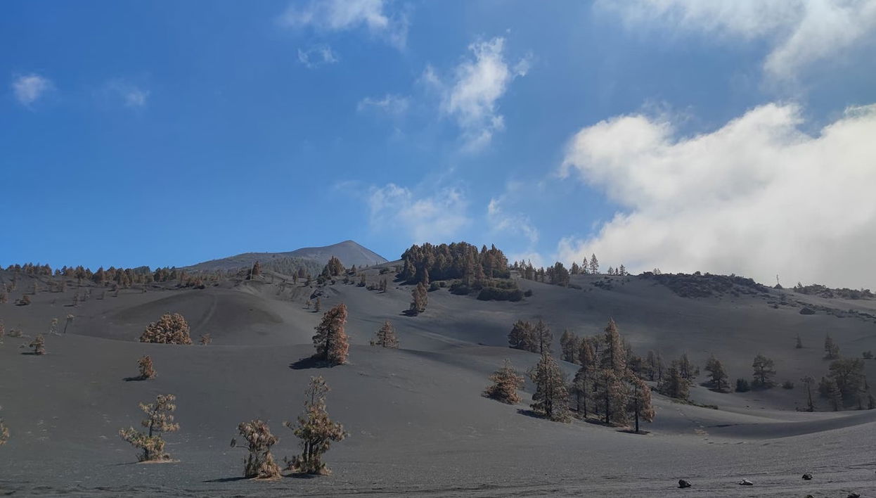 Tajogaite Volcano Hike - Photo 1