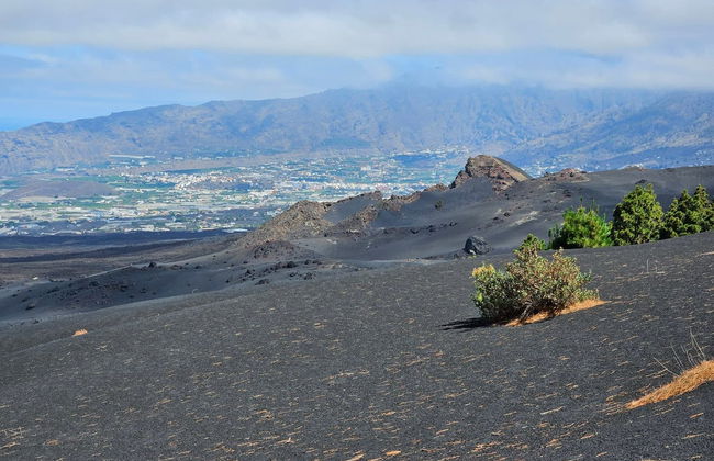 Senderismo por el volcán Tajogaite - Foto 12