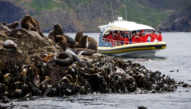 Sailing along the coastline of Bruny Island