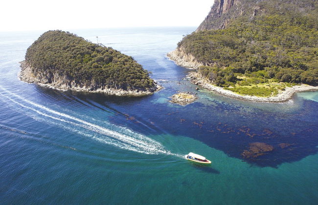 Excursión a la isla Bruny con paseo en barco - Foto 3