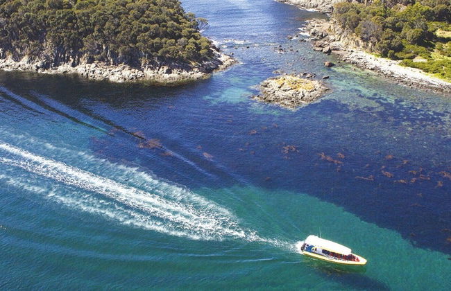 Excursión a la isla Bruny con paseo en barco - Foto 8