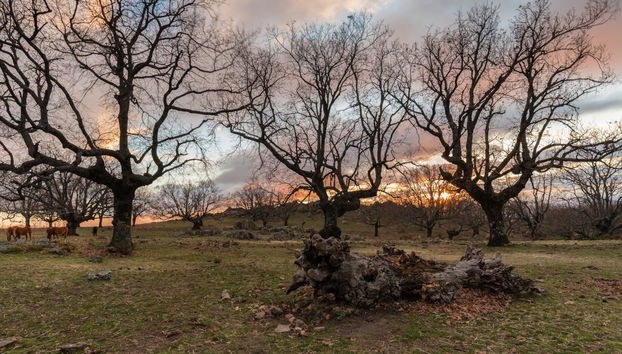 Cabezabellosa Astronomy Tour - Photo 2