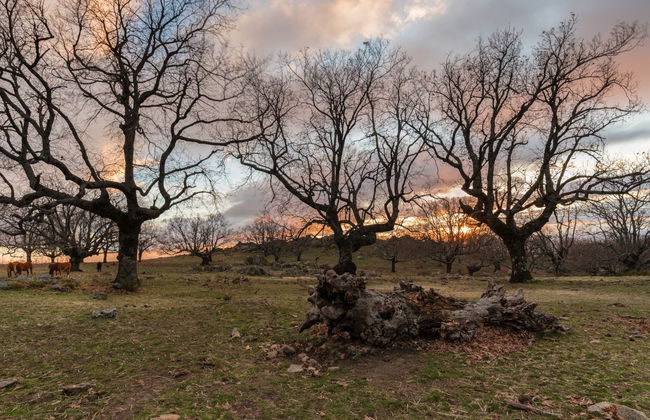Cabezabellosa Astronomy Tour - Foto 2