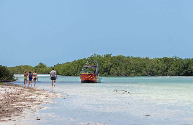 Snorkeling avec les requins-baleines à Holbox - Photo 4