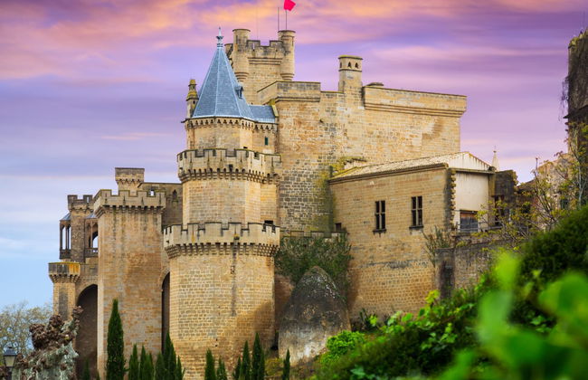 Visita guiada por Olite y su castillo - Foto 1