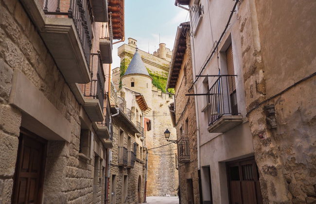 Visita guiada por Olite y su castillo - Foto 7