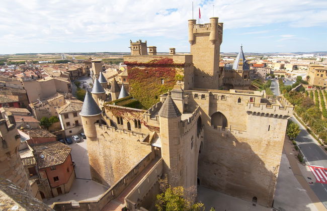 Visita guiada por Olite y su castillo - Foto 3