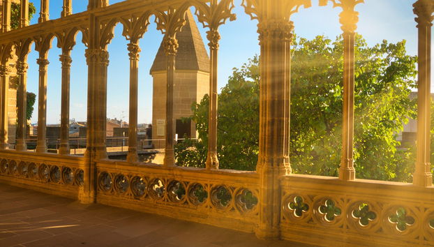 Visita guiada por Olite y su castillo - Foto 4