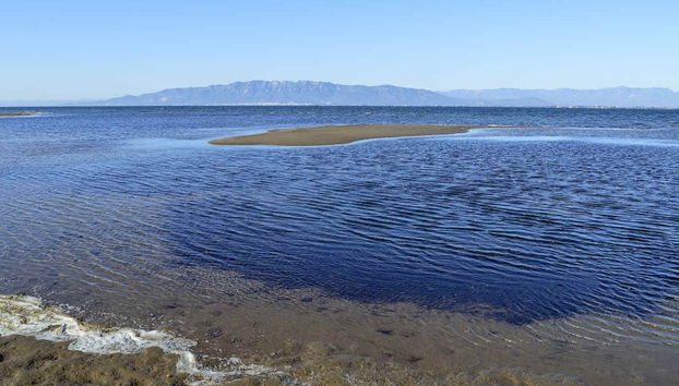 Delta del Ebro Day Trip & Boat Ride - Foto 5
