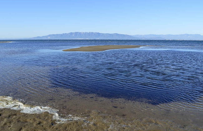 Escursione al Delta dell'Ebro + Giro in catamarano - Foto 5