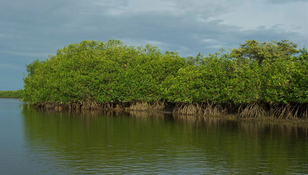 Tour de 3 días por Tumbes y Máncora - Foto 5