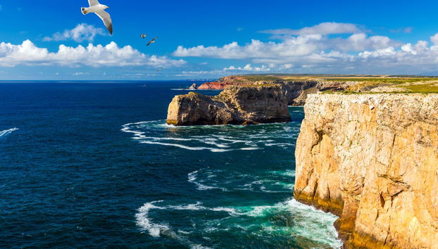 Sagres Private Tour - Foto 2