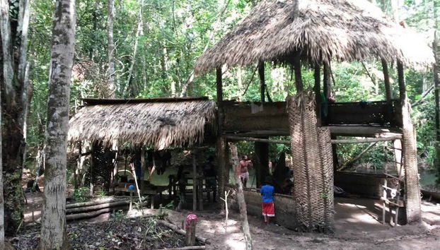 Tour pela enseada do Amorim - Foto 4