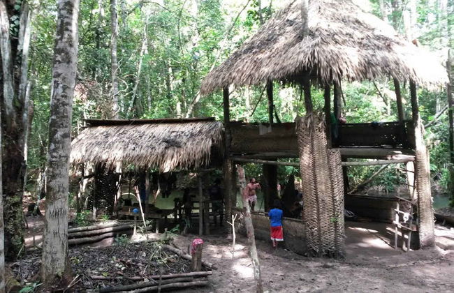 Tour pela enseada do Amorim - Foto 4