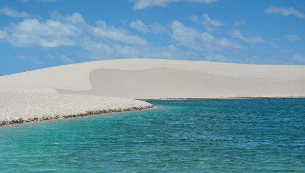Andorinha dune