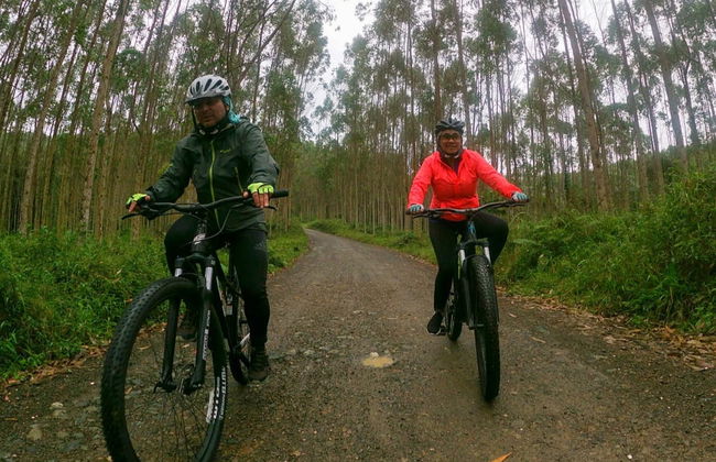 Tour de bicicleta por Calarcá - Foto 4