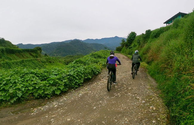Tour de bicicleta por Calarcá - Foto 5