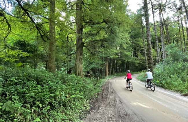 Tour de bicicleta por Monte Verde - Foto 2