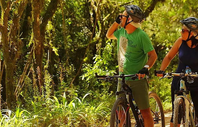 Tour de bicicleta por Monte Verde - Foto 3