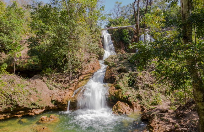 Visita a la Fazenda Ceita Corê - Foto 4