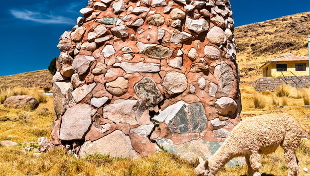 Excursión a Sillustani - Foto 4