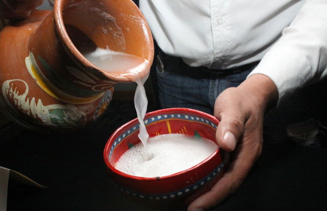 Escursione all'Hacienda Chimalpa e al convento di Zempoala - Foto 6