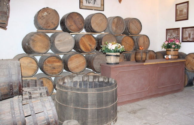 Excursión a la Hacienda Chimalpa y convento de Zempoala - Foto 3