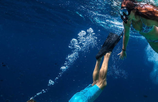 Snorkeling sur l’île de Faial - Photo 3