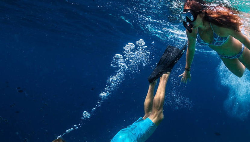 Snorkeling sur l’île de Faial - Photo 3