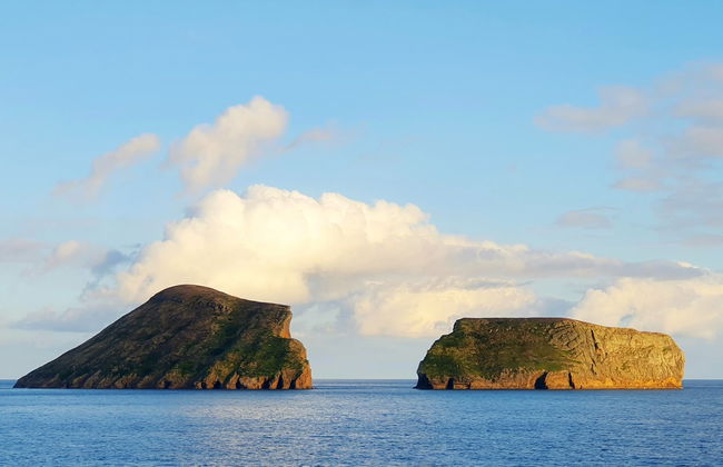 Avistamento de baleias e golfinhos + Ilhéus das Cabras - Foto 2