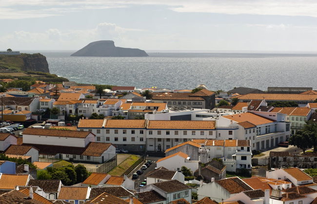Avistamento de baleias e golfinhos + Ilhéus das Cabras - Foto 6