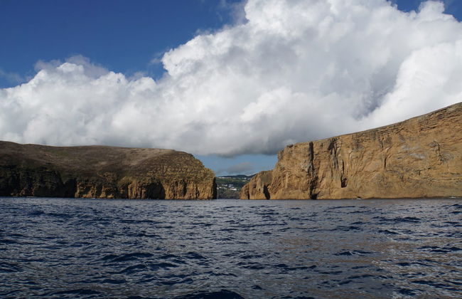 Avistamento de baleias e golfinhos + Ilhéus das Cabras - Foto 7