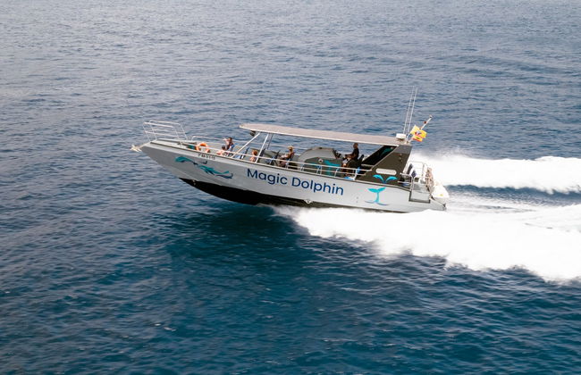 Morro Jable Dolphin & Whale Watching Trip - Foto 5