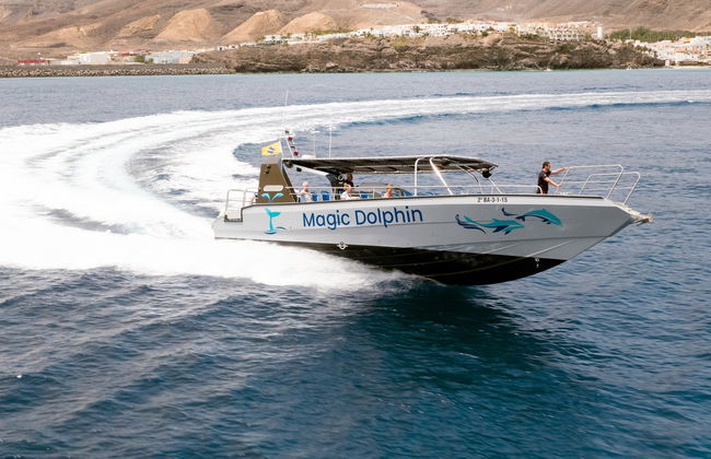 Morro Jable Dolphin & Whale Watching Trip - Foto 9