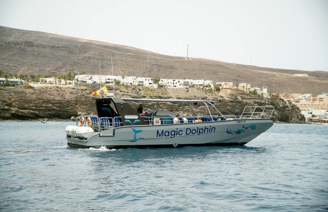 Morro Jable Dolphin & Whale Watching Trip - Foto 3