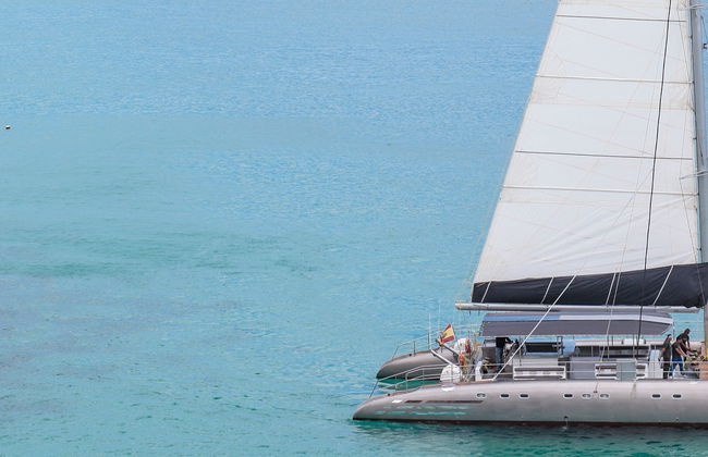 Morro Jable Dolphin & Whale Watching Trip - Foto 12