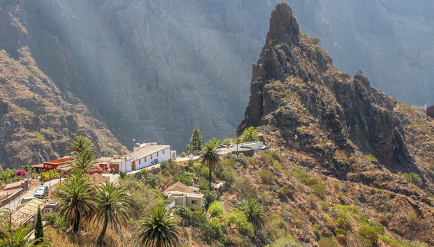 Masca & Northern Tenerife Viewpoints Tour - Foto 5