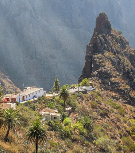 Foto de Tour por Masca y los miradores del norte de Tenerife