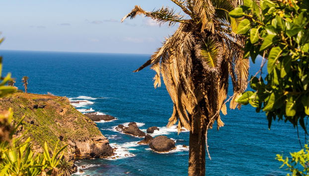 Masca & Northern Tenerife Viewpoints Tour - Foto 2