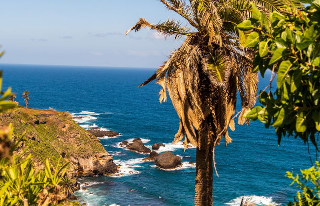 Tour por Masca e pelos mirantes do norte de Tenerife - Foto 2