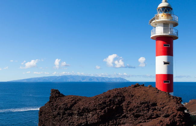 Balade en bateau à Punta de Teno - Photo 6