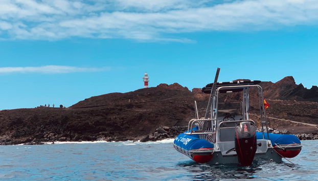 Punta de Teno Boat Trip - Photo 4