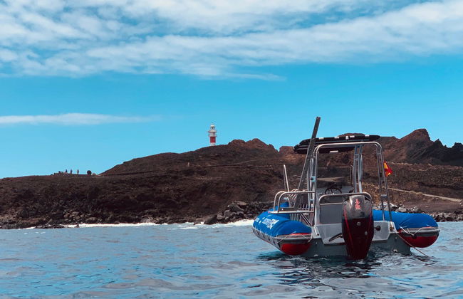 Balade en bateau à Punta de Teno - Photo 4