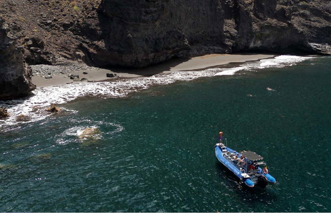 Passeio de barco pela Punta de Teno - Foto 6