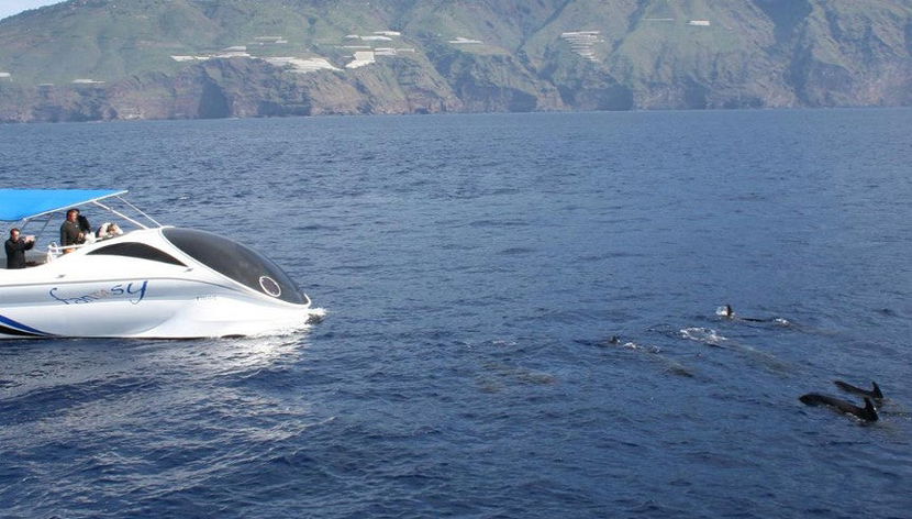 La Palma Yacht Cruise - Foto 3