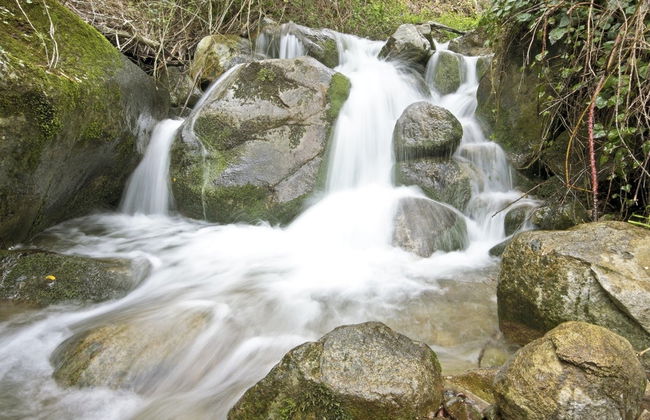Tour en 4x4 por Monchique y lago Bravura - Foto 3