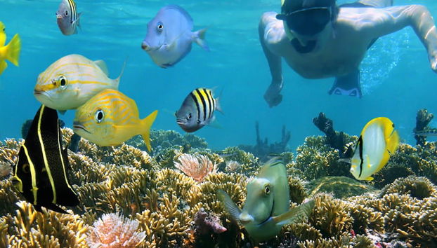 Guama and Hatiguanico River Trip - Foto 4